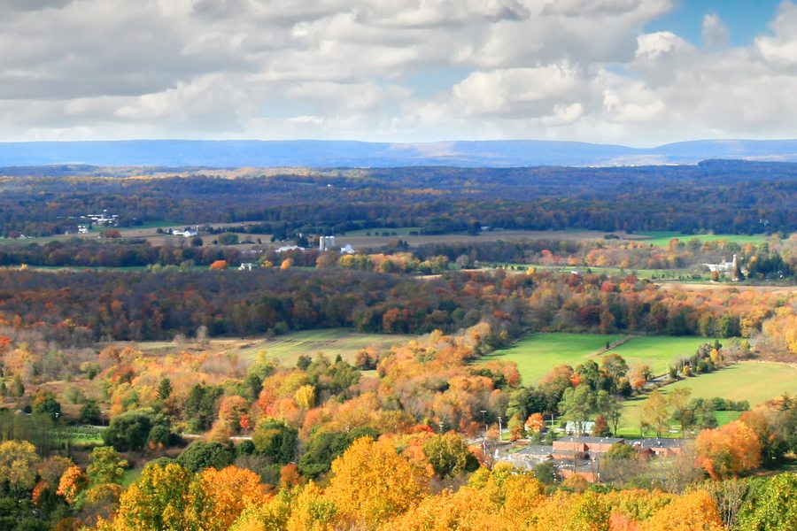 Photo of New Jersey farmland which can be found in Hunterdon County, home of our Flemington, NJ marketing firm.